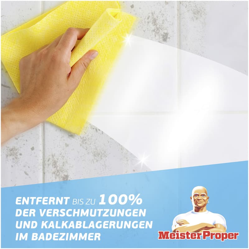 Meister Proper Spray Bad 800ml