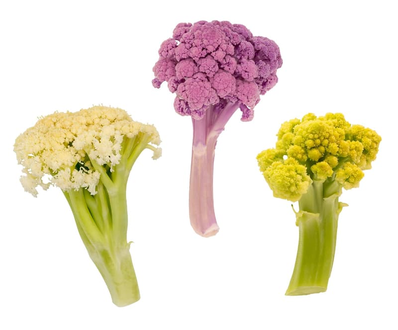 Keltenhof Wilder Blumenkohl Mix