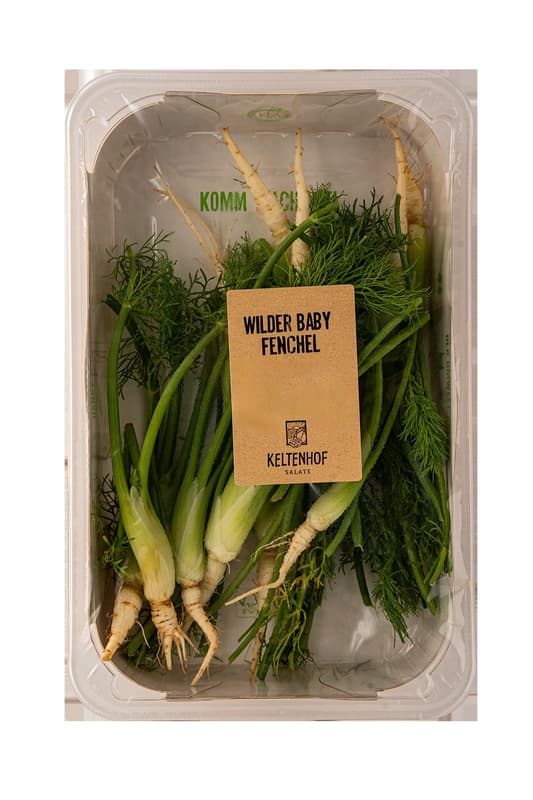 Keltenhof Baby Fenchel