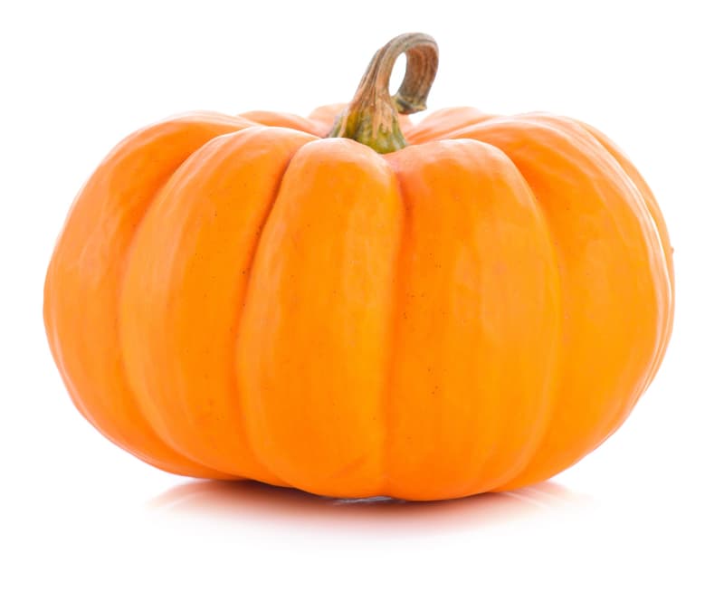 Halloween Kürbis, groß