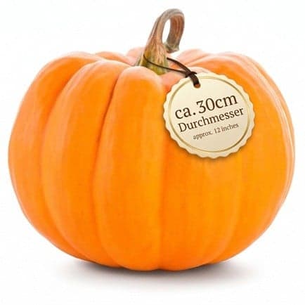 Halloween Kürbis, groß