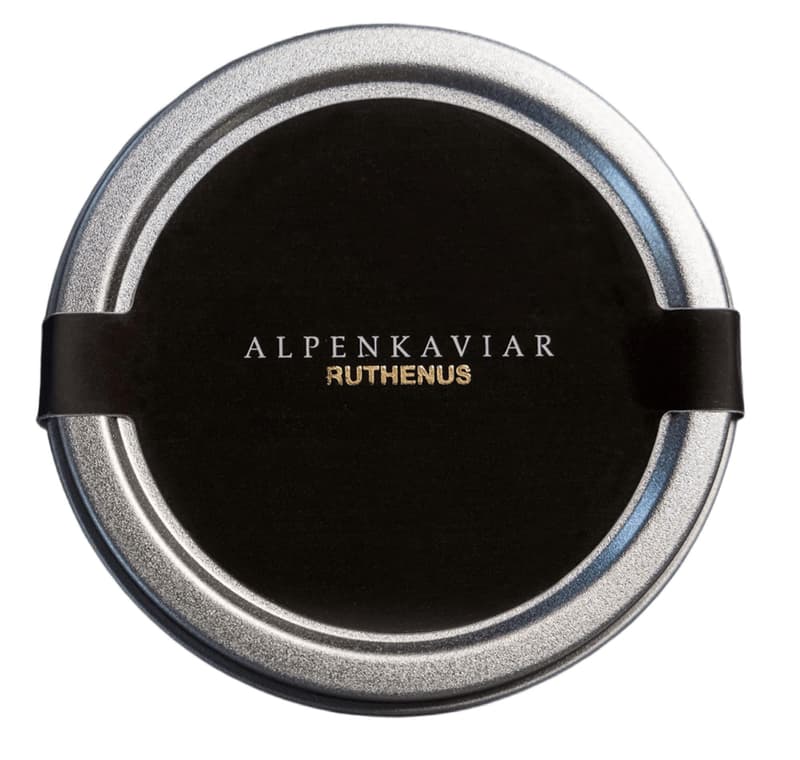 Alpine caviar Ruthenus caviar