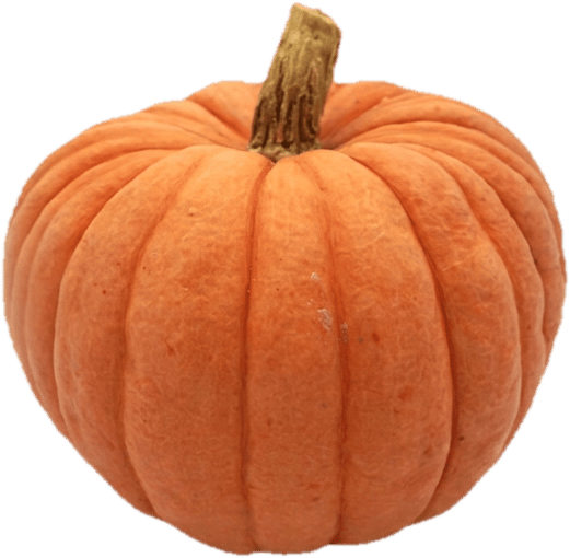 Organic Baking Pumpkin Miss Sophie