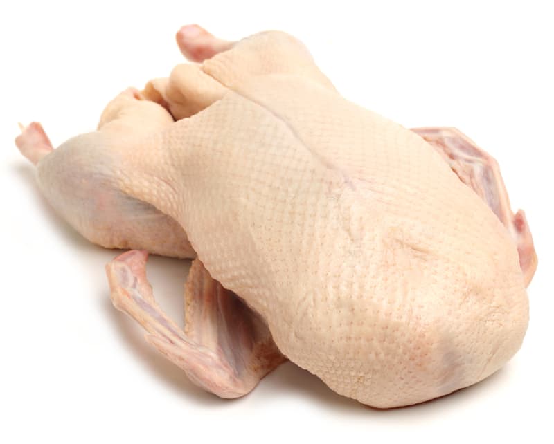 Gans im Ganzen