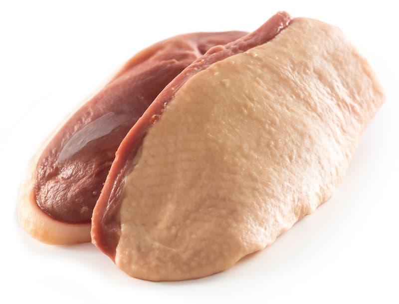 Gänse Brust
