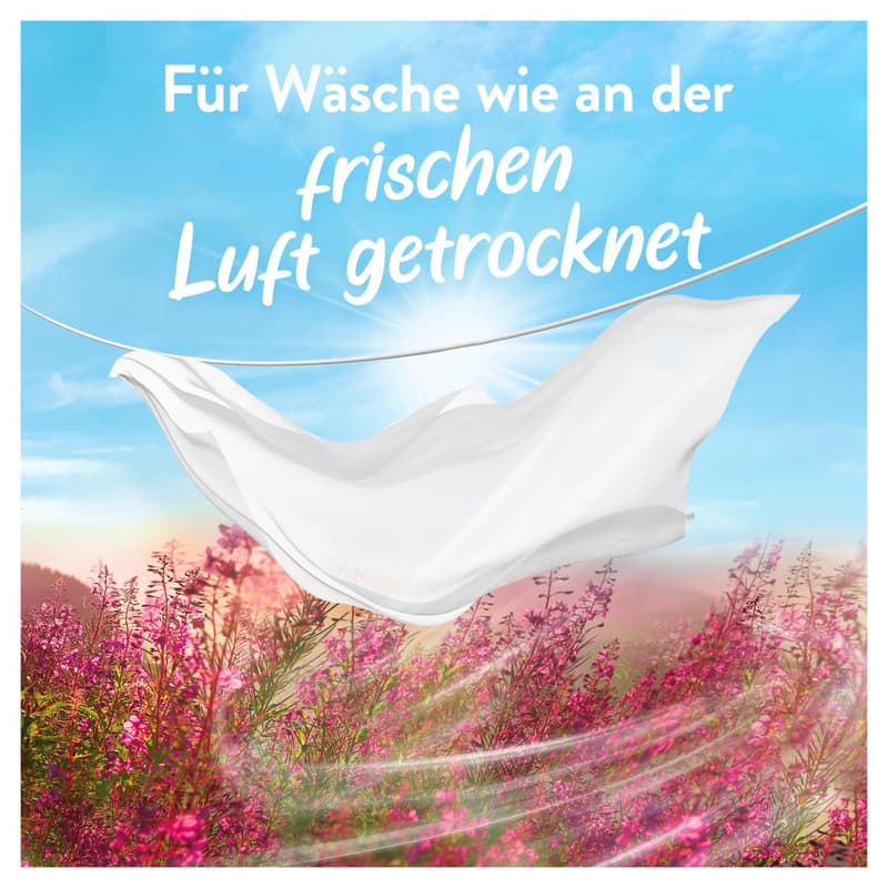 Lenor Weichspüler Konzentrat Wildblumenfeld
