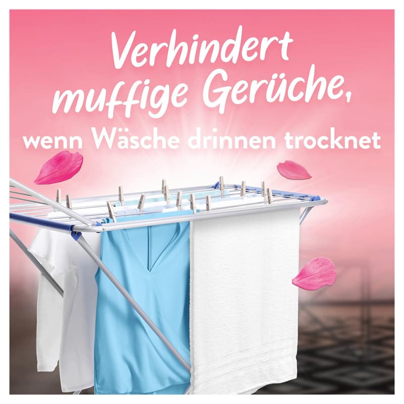 Lenor Weichspüler Konzentrat Wildblumenfeld