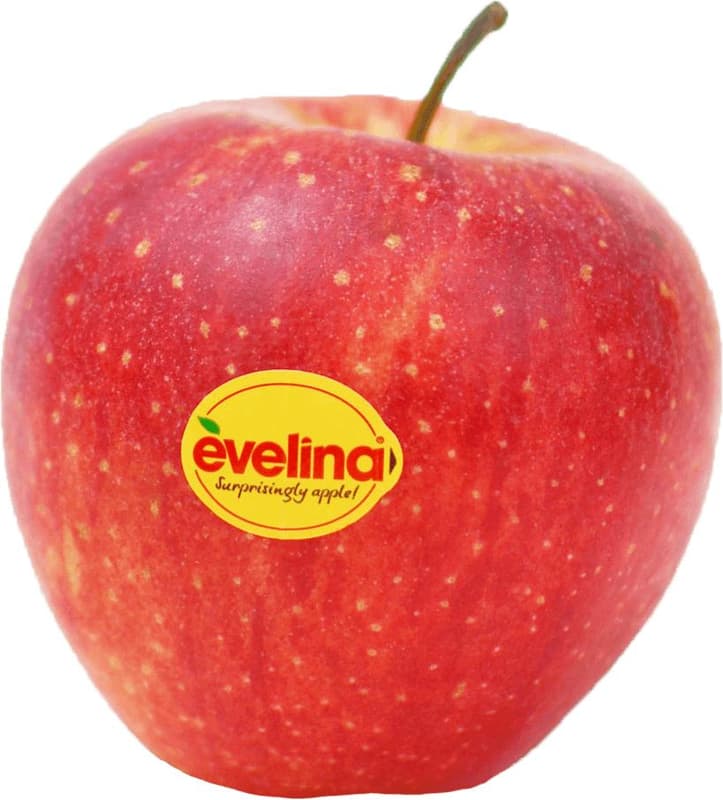 Apfel Evelina©