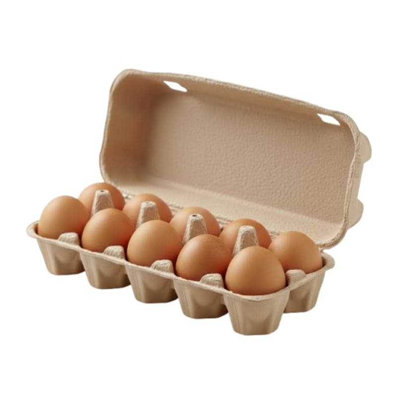 Schlögl BIO Eier XL 10er