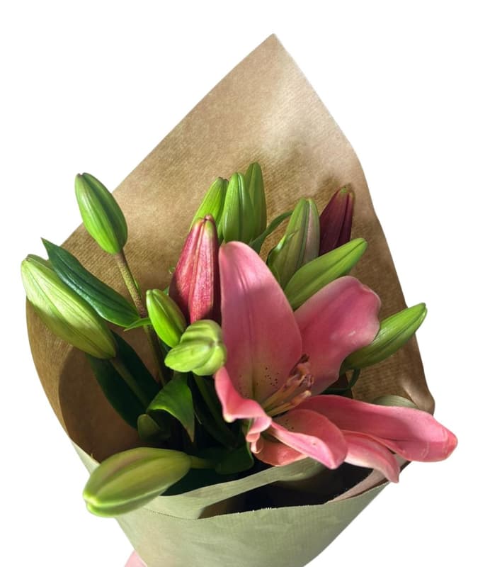 Asiatische Lilien im Bund