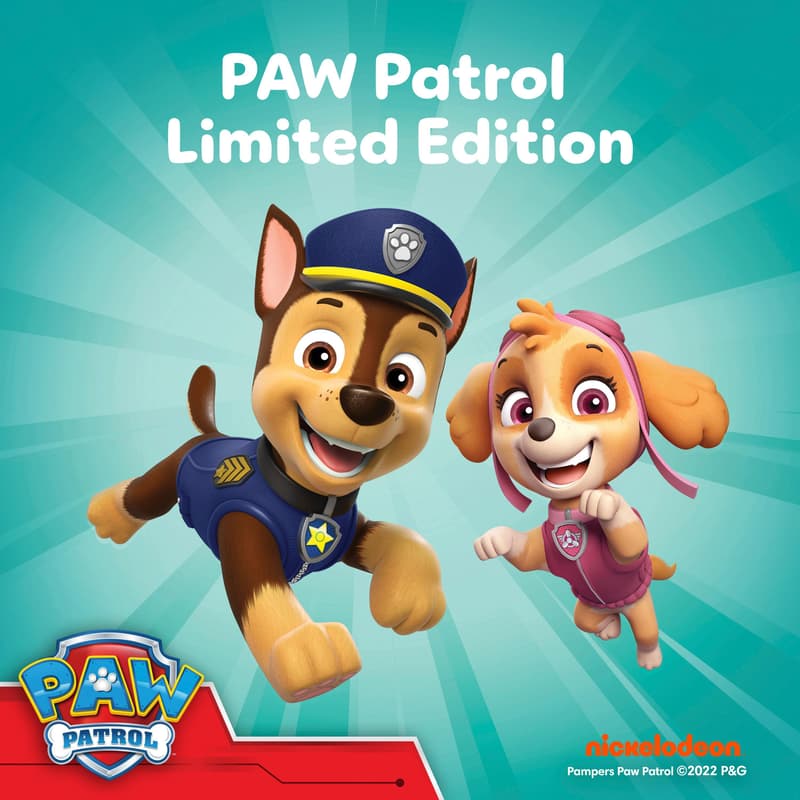 Pampers Baby Dry Pants Gr. 5 Junior 11-17kg Single Pack Paw Patrol 21 St