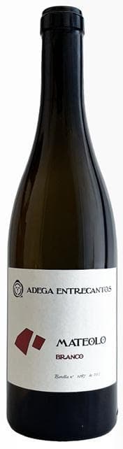 Domaine Roberto Rodriguez Mateolo Godello 2025