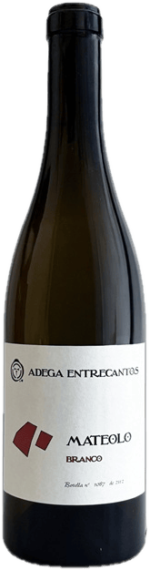 Domaine Roberto Rodriguez Mateolo Godello 2025