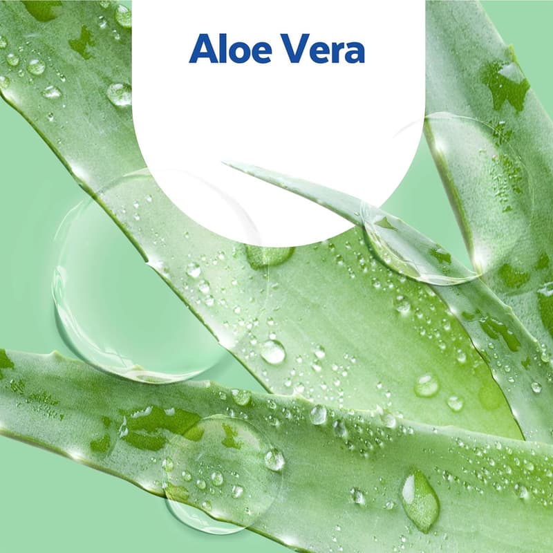 Sagrotan No-Touch Nachfüller Aloe Vera Duft