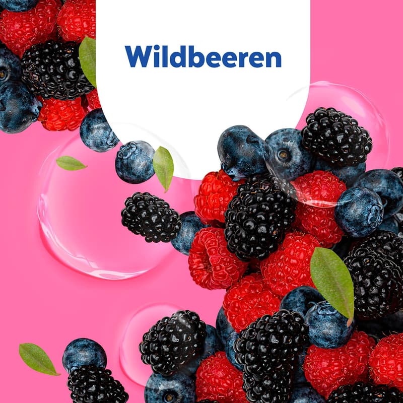 Sagrotan No-Touch Nachfüller Waldbeeren Duft