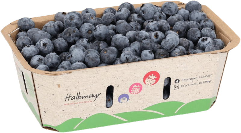 Halbmayrs Heidelbeeren