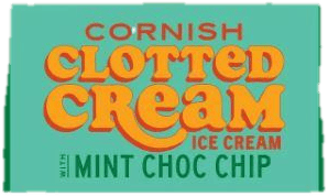 M&S food Cornish Mint Choc Chip ice cream