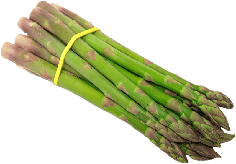 Spargel grün, Bund