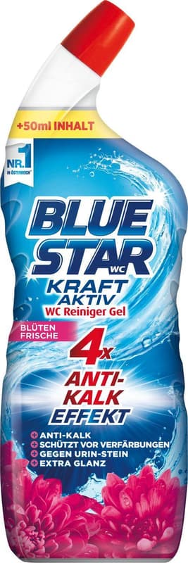 Blue Star WC Reiniger Kraft Aktiv Gel Blütenfrische