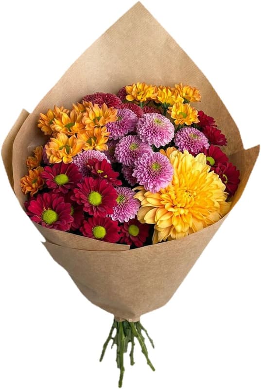 Flori Chrysanthemum Mix
