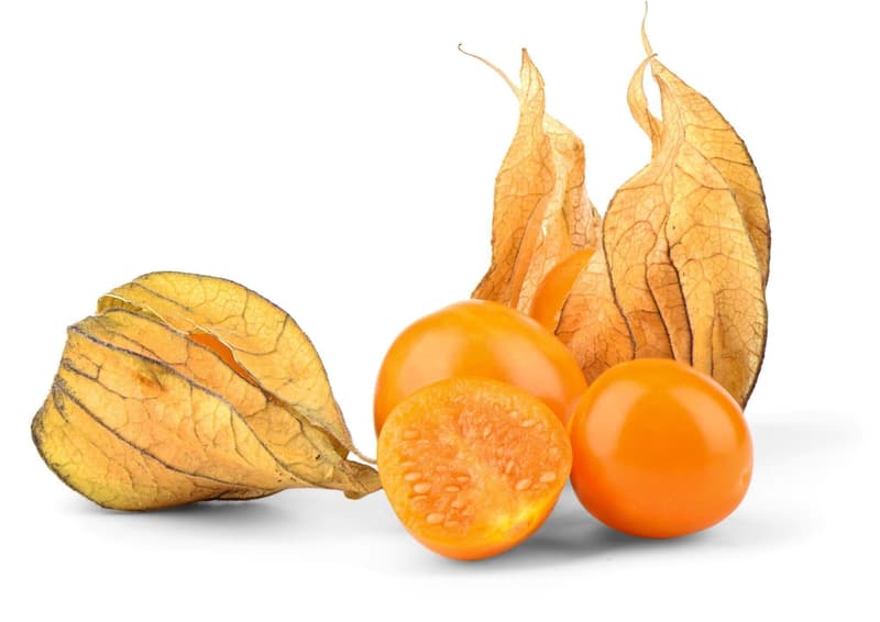 Götterfrucht Bio Physalis