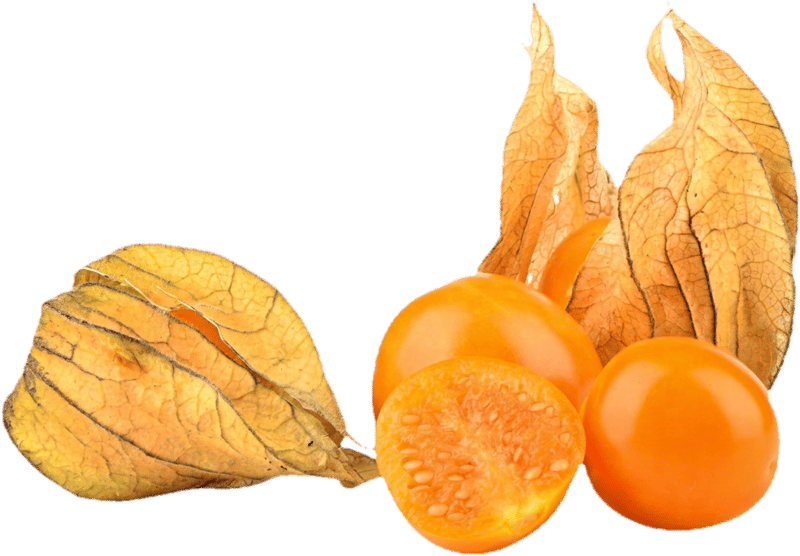 Götterfrucht Bio Physalis