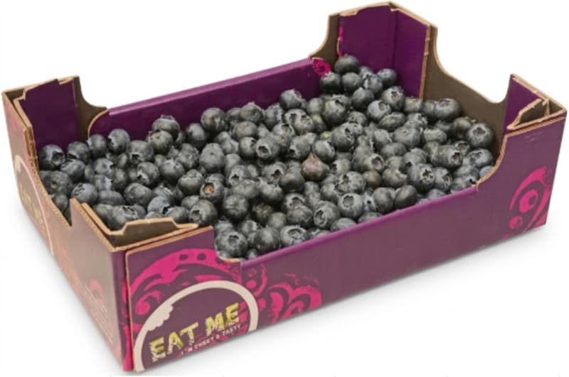 Eat Me Heidelbeeren, Family Pack