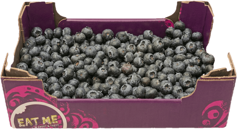Eat Me Heidelbeeren, Family Pack