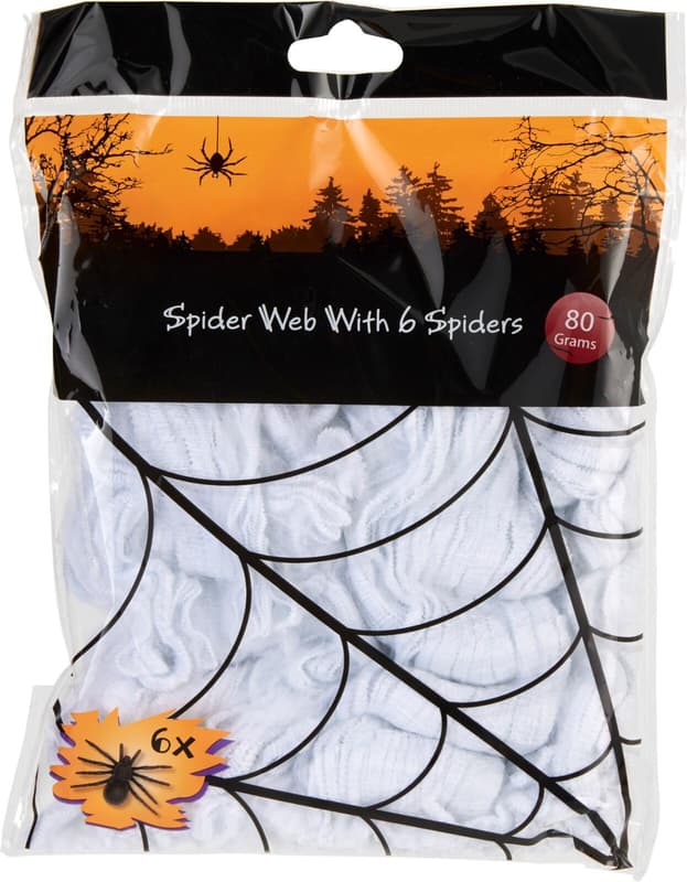 Spider Web with 6 Spiders