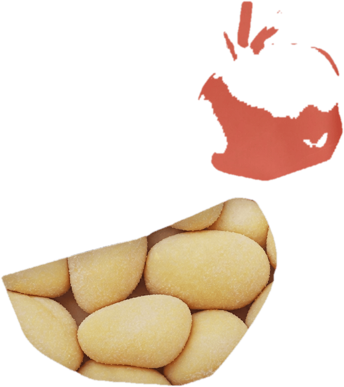	Pappudia Gnocchi mit Tomate & Mozarella