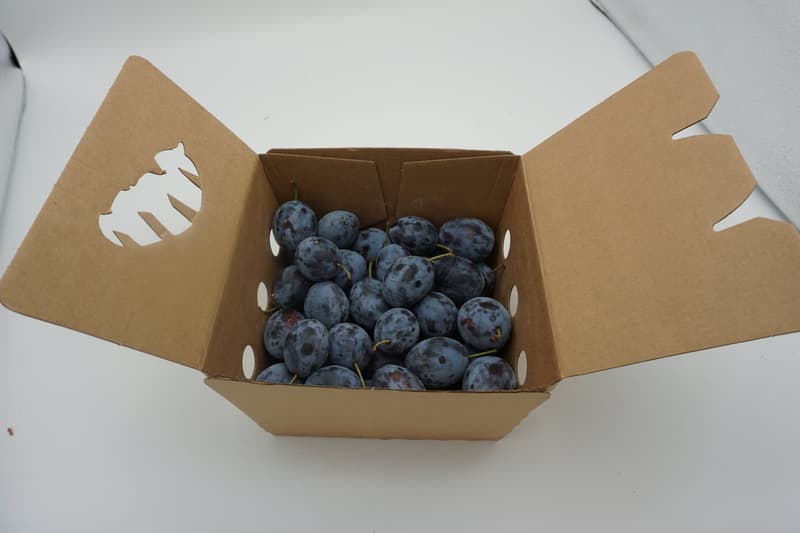 Small plums