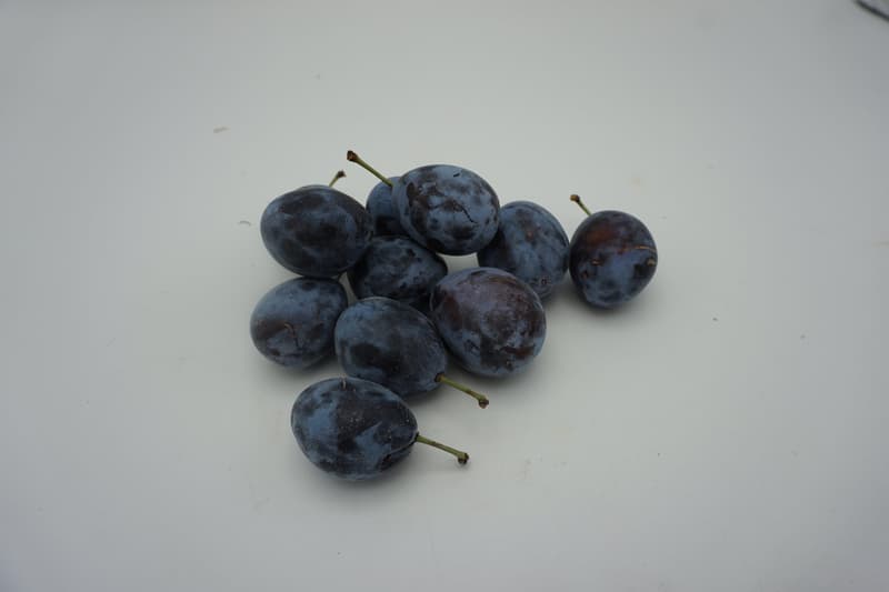 Small plums