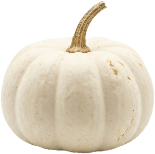White Halloween Pumpkin