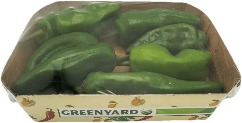 Pimentos de Padron Tasse