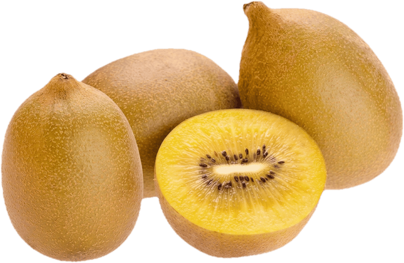 Kiwi Gold, lose