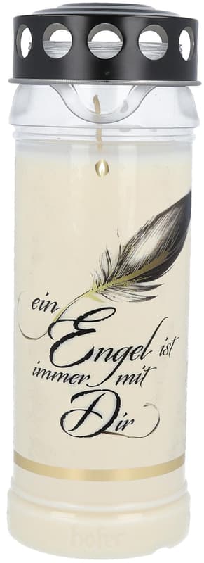 Hofer Premium 7-Day Motif Light Black "Angel" Transparent