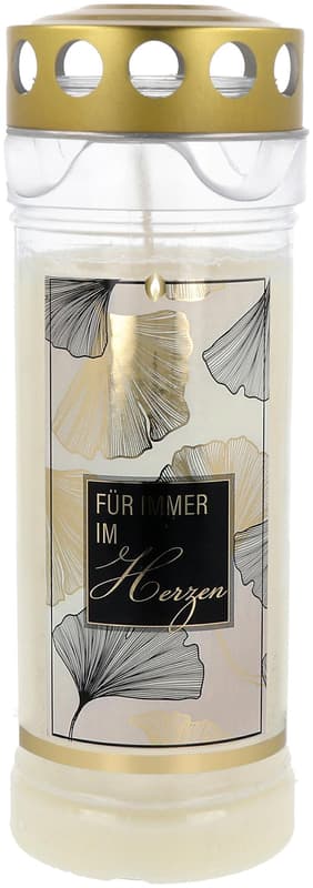 Hofer Premium Plus Deluxe 7-day motif candle "Forever in our hearts" transparent