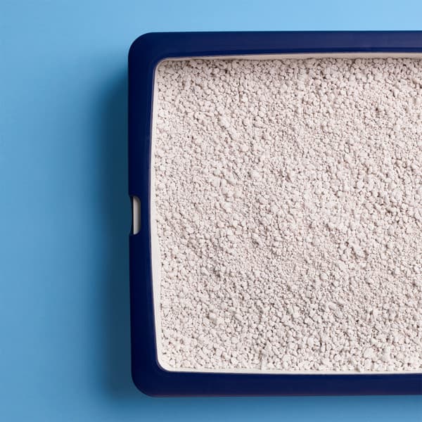 Catsan Hygiene Plus nicht klumpend