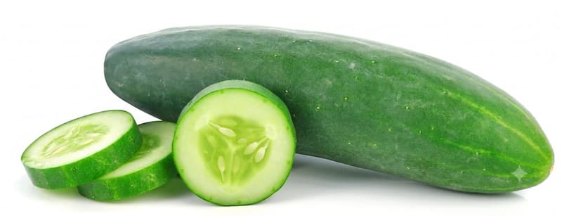 Field Cucumber