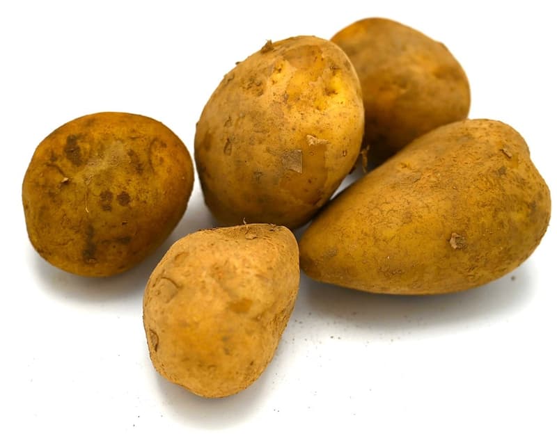 Niedermayer's BIO potato, firm cooking