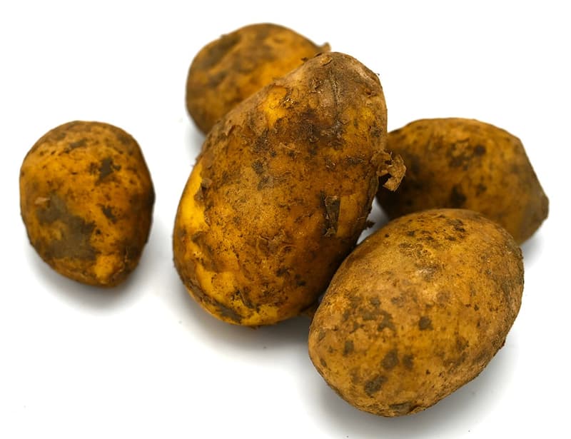 Niedermayer's BIO potato, floury