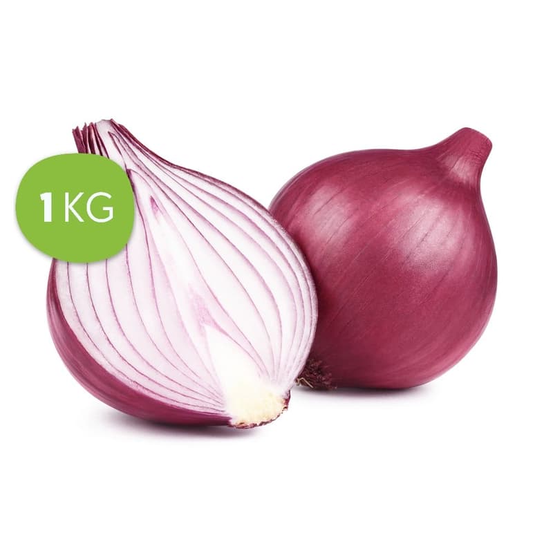 Onion red, size M in net
