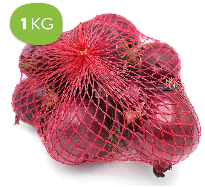 Onion red, size M in net