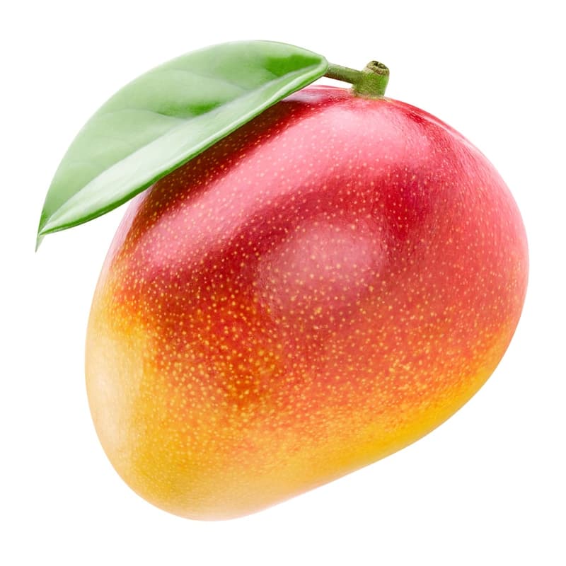Mango Kent, ready to eat