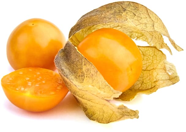 Physalis with husk