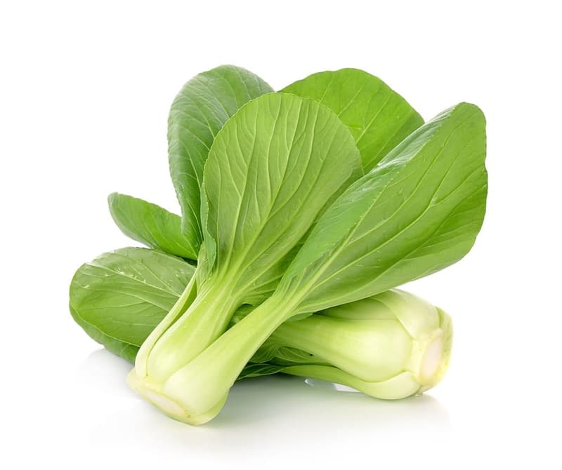 Pak-Choi Baby loose