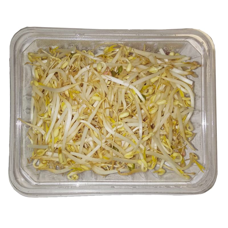 BIO Mungo sprouts in a cup