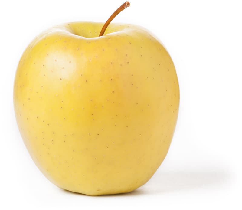 Apple Golden Delicious