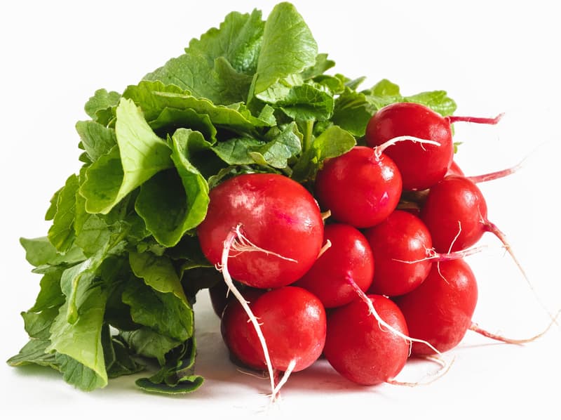 Radish