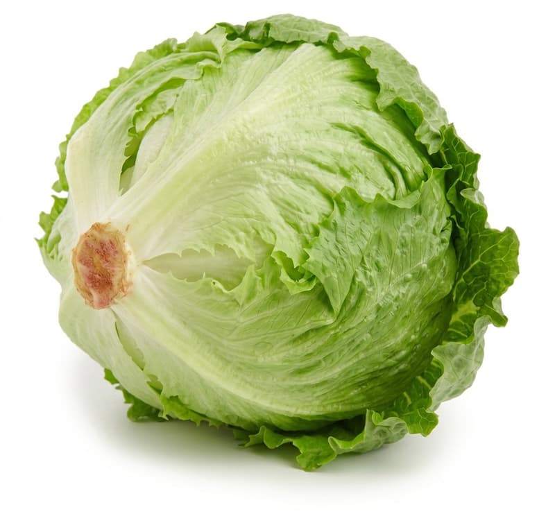 Michi Bauers Eisbergsalat
